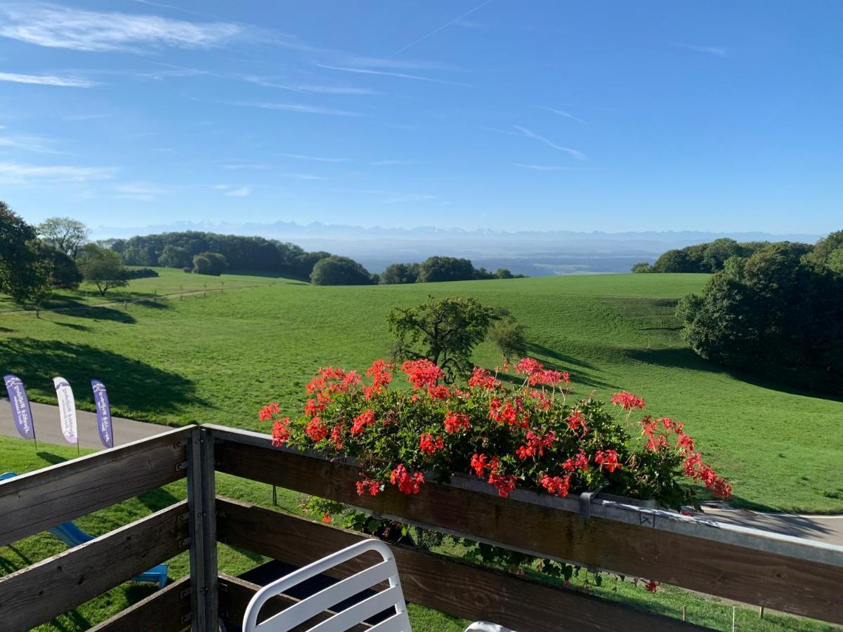 Hotel Restaurant Alpenblick Wolfisberg Buitenkant foto